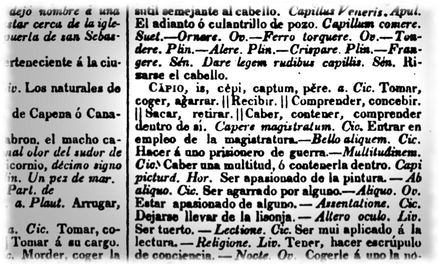 Definición de «capio» en el diccionario Nuevo Valbuena de 1840