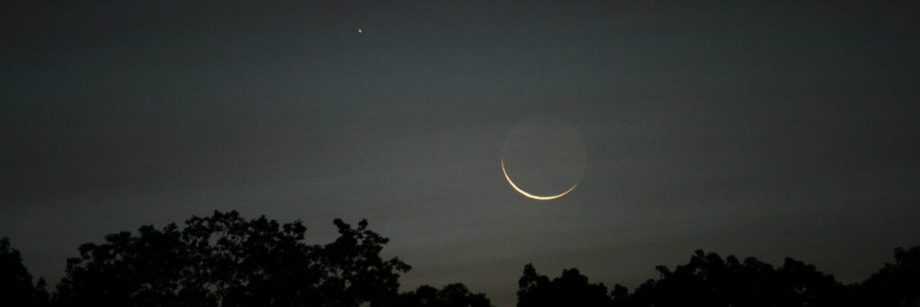 «Vida bajo la luz cenicienta» en el Cuaderno de Cultura Científica
