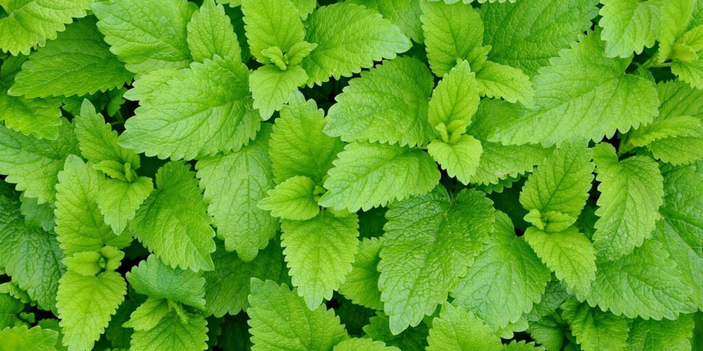 Evaporación fotomolecular