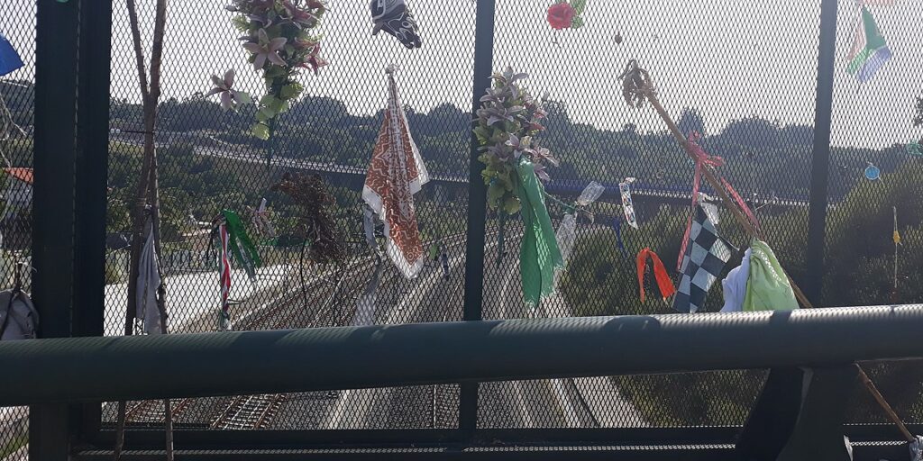 Post mortem sin culpa