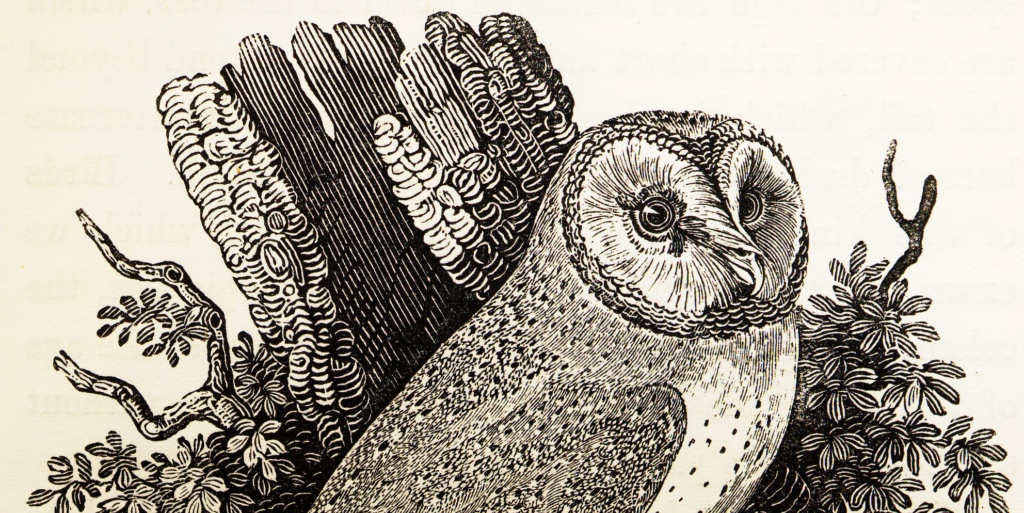 Curso de Inteligencia Artificial Generativa