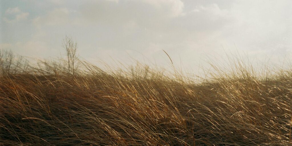 Al fin, una ligera brisa de justicia