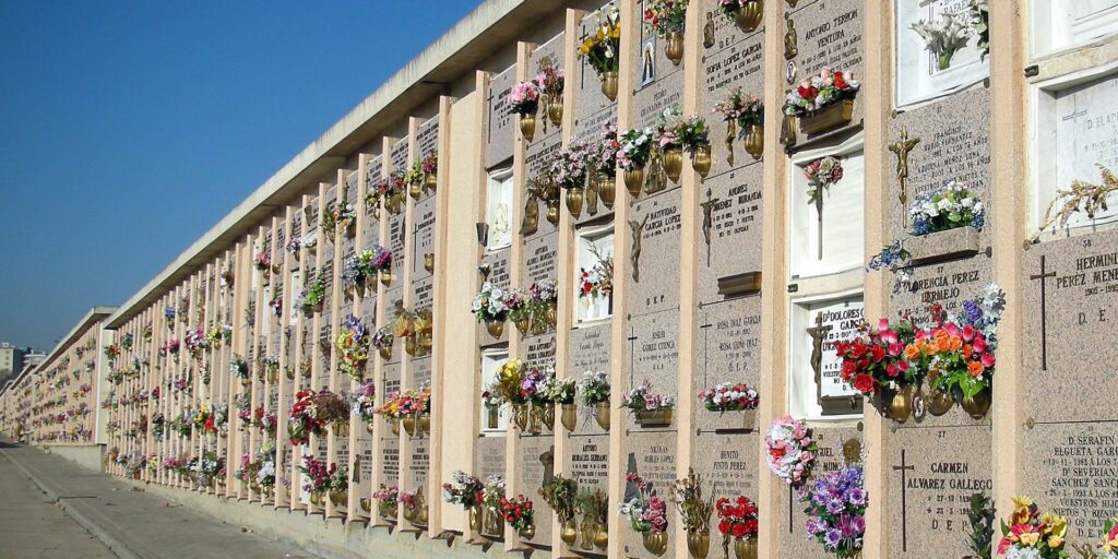 Muy de nicho, o la importancia de la divulgación en el transporte